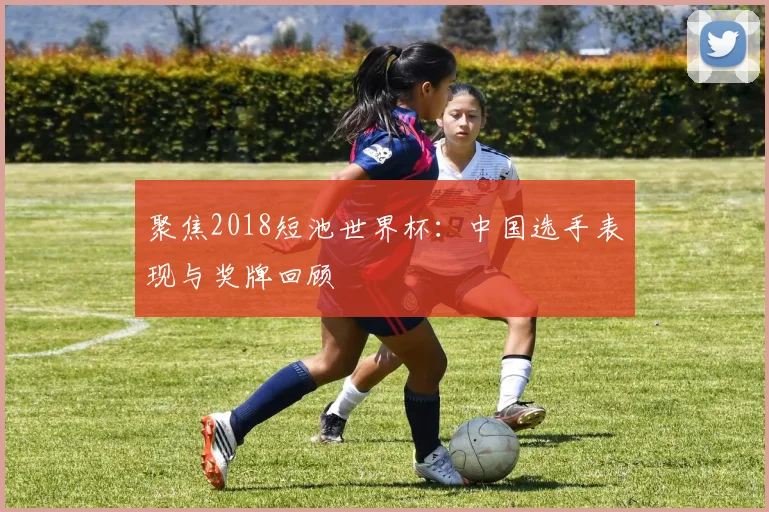 聚焦2018短池世界杯：中国选手表现与奖牌回顾