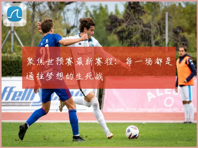 聚焦世预赛最新赛程：每一场都是通往梦想的生死战