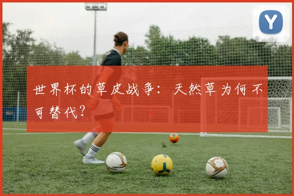 世界杯的草皮战争：天然草为何不可替代？