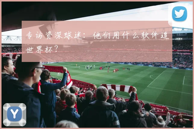 专访资深球迷：他们用什么软件追世界杯？