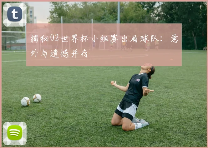 揭秘02世界杯小组赛出局球队：意外与遗憾并存
