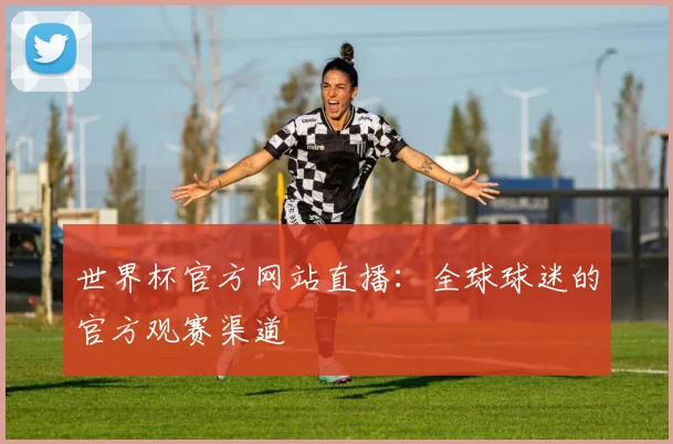 世界杯官方网站直播：全球球迷的官方观赛渠道