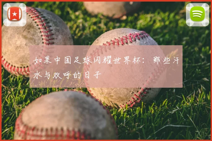 如果中国足球闪耀世界杯:那些汗水与欢呼的日子