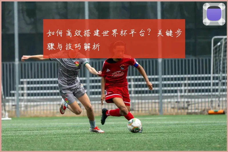 如何高效搭建世界杯平台?关键步骤与技巧解析