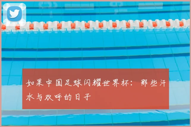 如果中国足球闪耀世界杯:那些汗水与欢呼的日子