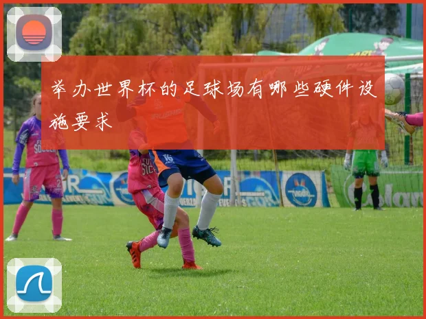 举办世界杯的足球场有哪些硬件设施要求