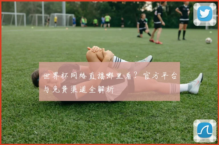 世界杯网络直播哪里看?官方平台与免费渠道全解析