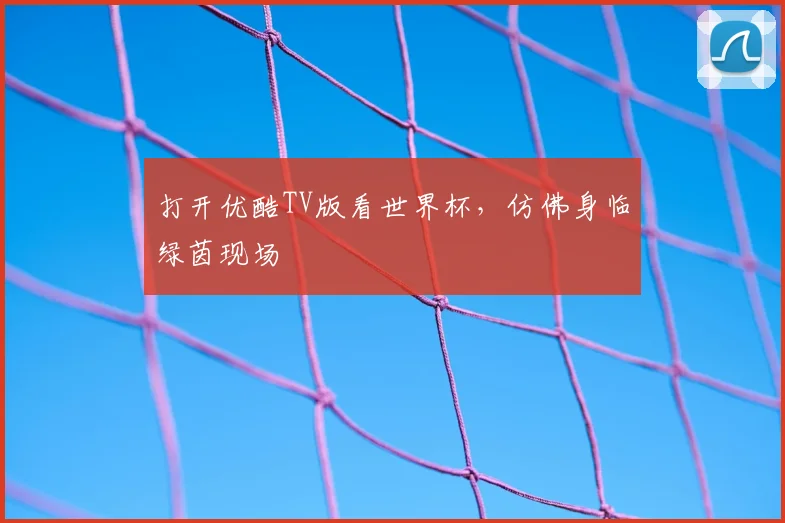 打开优酷TV版看世界杯,仿佛身临绿茵现场