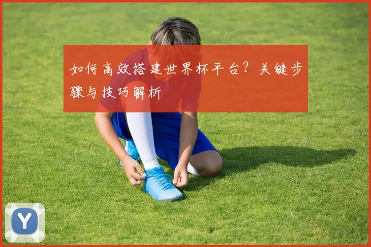 如何高效搭建世界杯平台?关键步骤与技巧解析